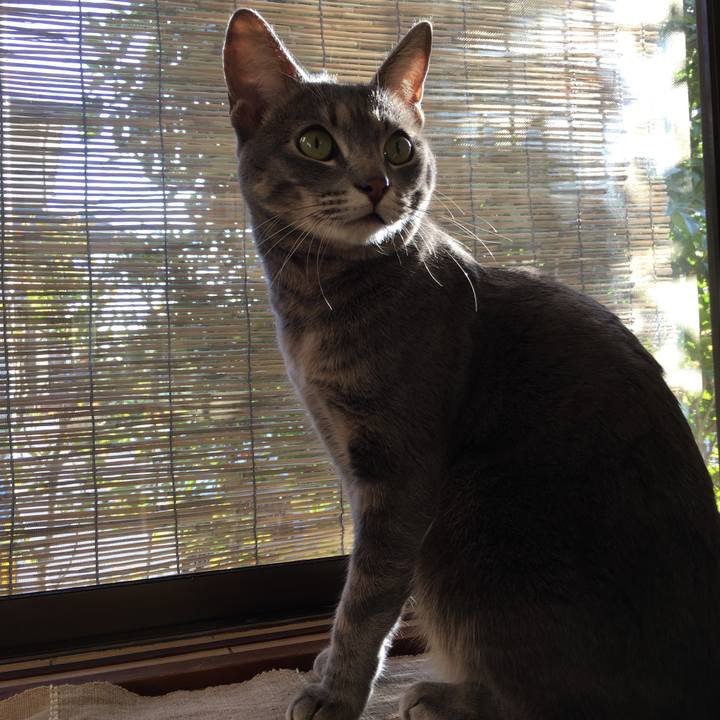 7919bc96 1b65 45d8 9183 fb9ec9207a4f