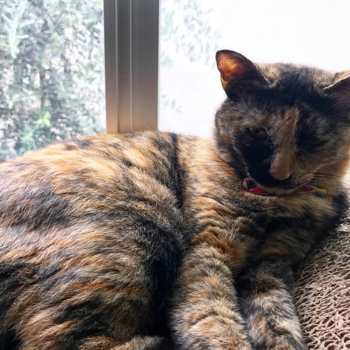 7919d538 b6d0 4ea6 bdfd fc2be2689ae4