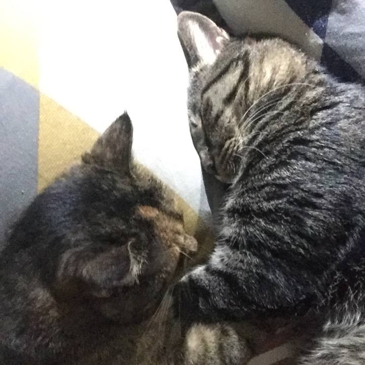 791a1074 631d 4d73 823b 9f849cfaa041