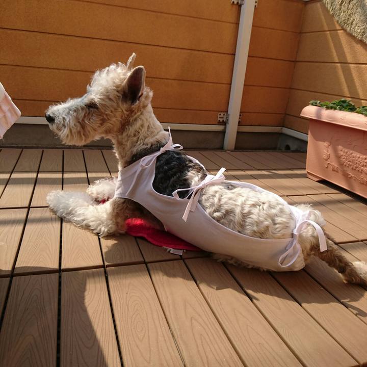 791a22a0 7da7 4ee7 a6ff c995a6941f89