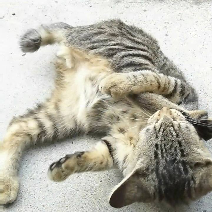 791a28f1 1054 422f a6da d84081dcd668