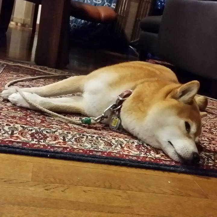 791a311c 176b 4668 9f5d 1ca5c32aa125