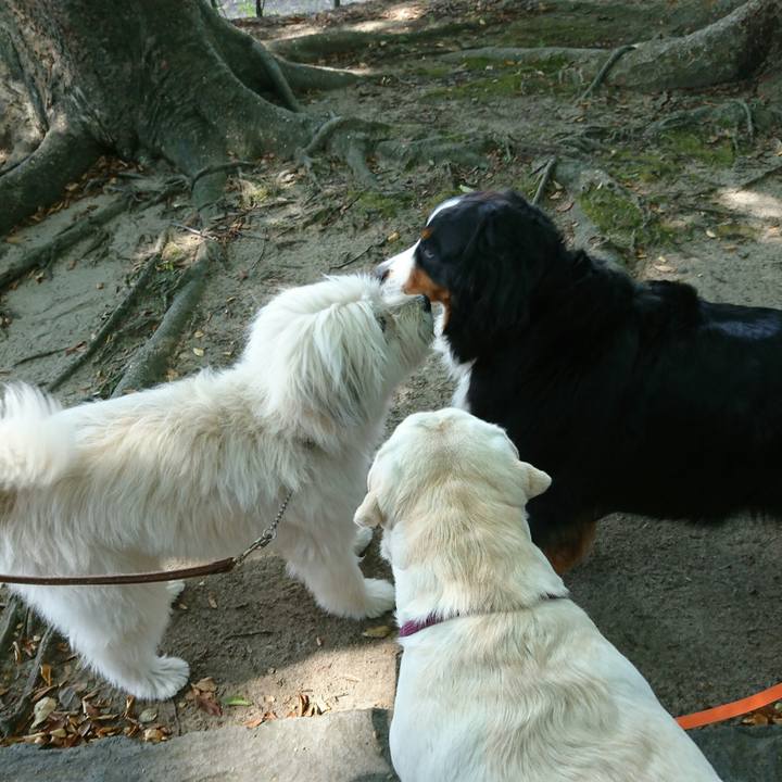 791a4b42 7873 46f4 8bfa 3c6b7341a890