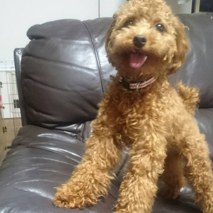 791a7095 f19a 4855 90f7 6656ac56cf83