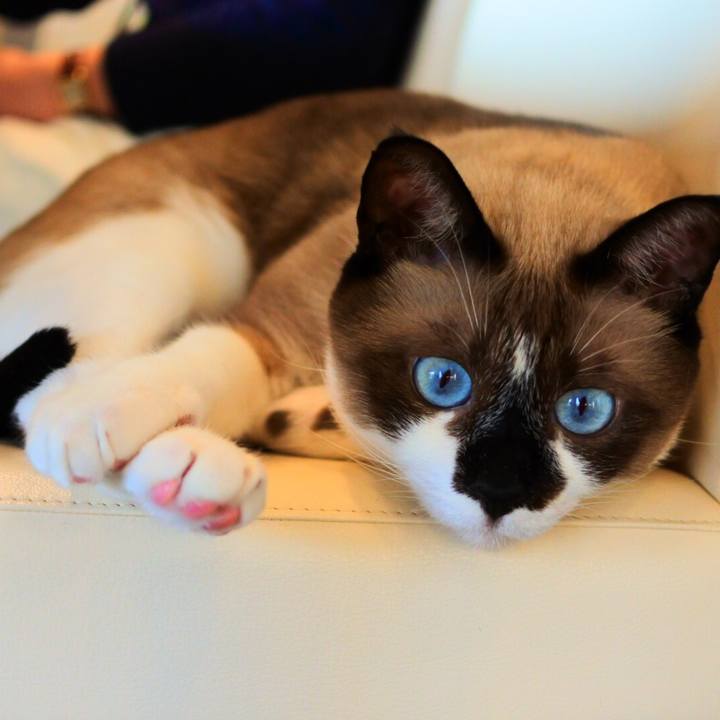 791b3c9a a587 4eb3 99f4 4215e17bb348