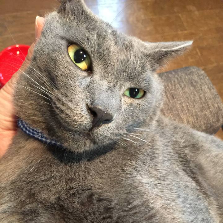 791c5e84 f489 4e44 a586 22219a8170bf