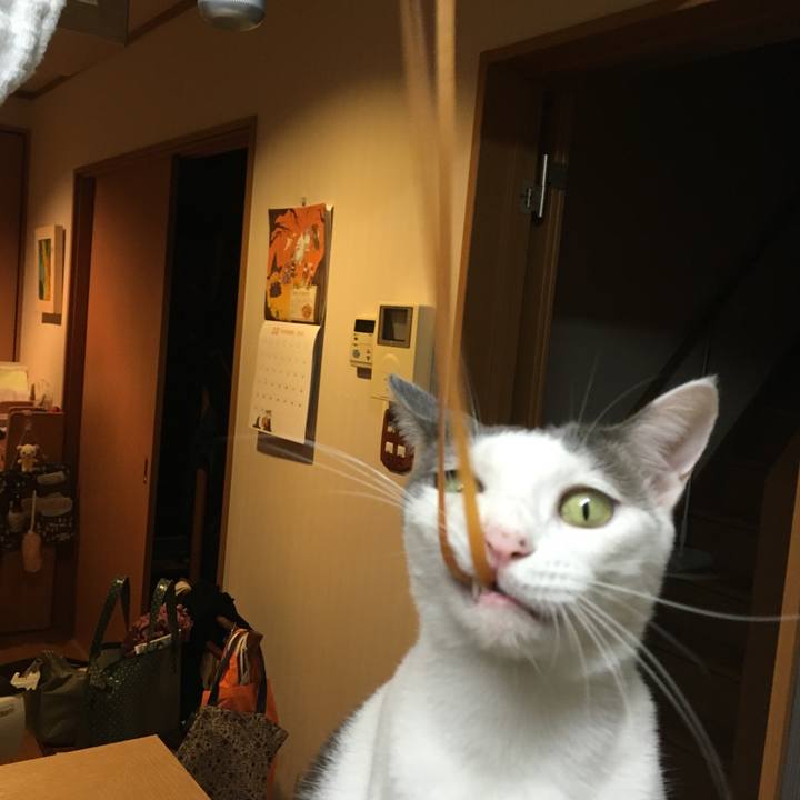 791c8151 31b3 451b 9a8e f8c77277734b