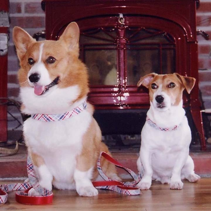 791ce02d 385f 40fe a713 5eeaa7d35699