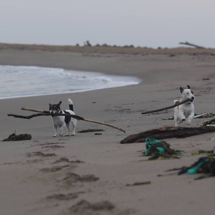 791d2605 41c8 4964 adde c9d5731f2777