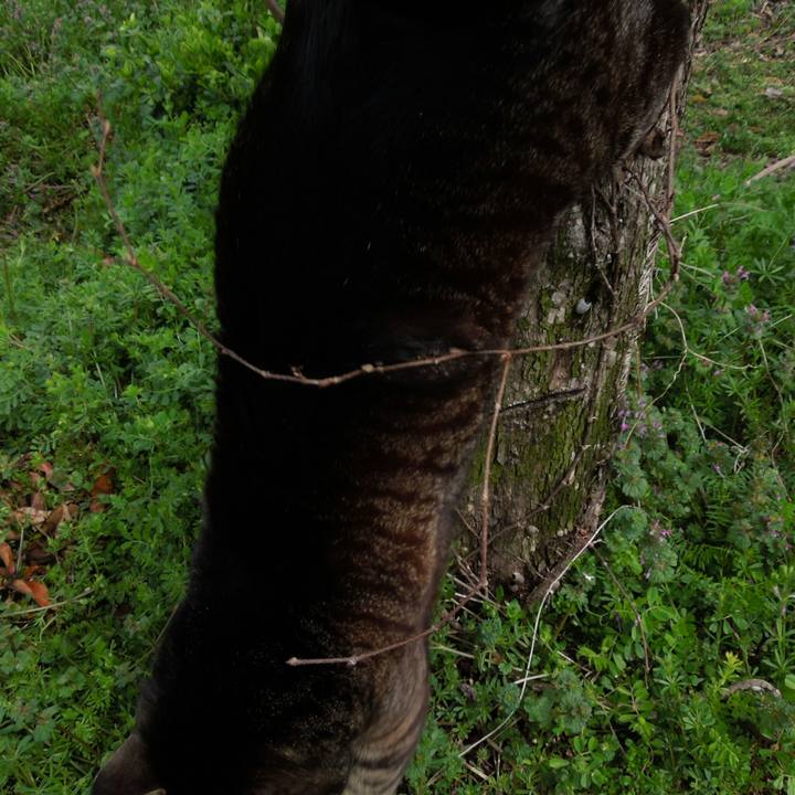 791d41d1 fc70 44e3 aee7 498f302bfc6a