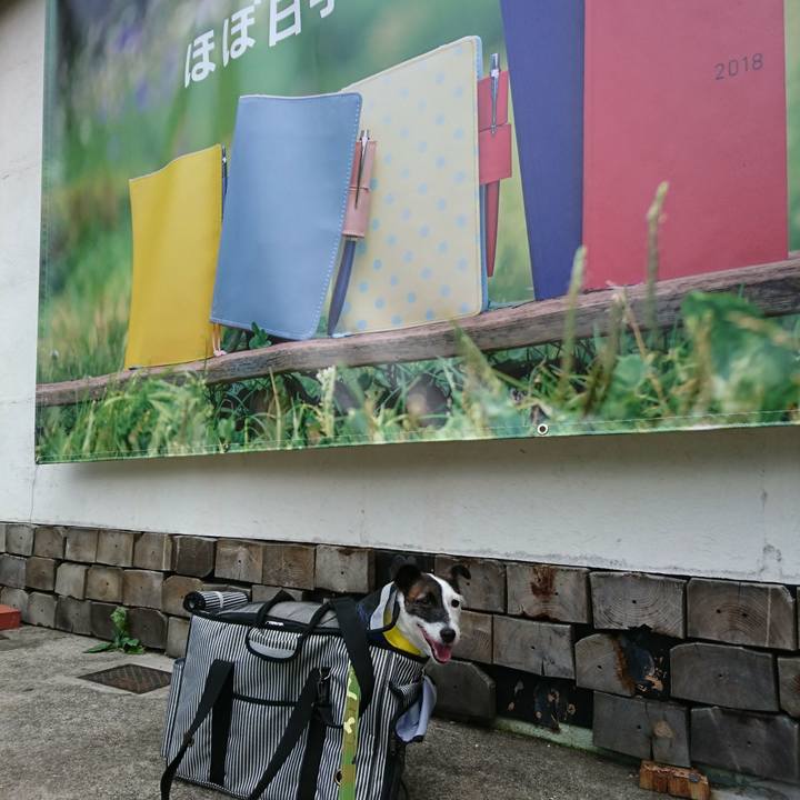 791e008c 87e1 49c2 ba87 2ae74f13449f