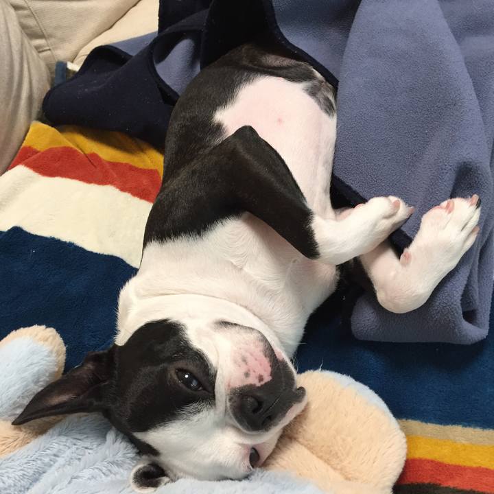 791e0b93 6ba0 464d a3e4 553438ba77f7