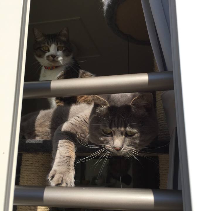 791e2892 2853 4a61 aaa3 807effa5b499