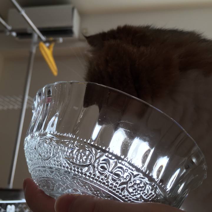 791e59fc a69d 41a3 9437 a9f37e9c6c25