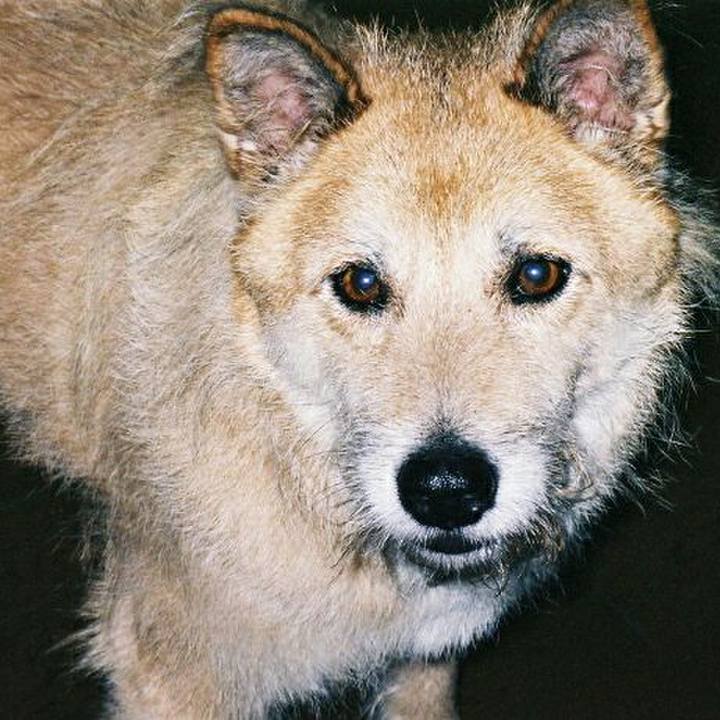 791ea556 b6cc 41cf ba25 89e0030c414b