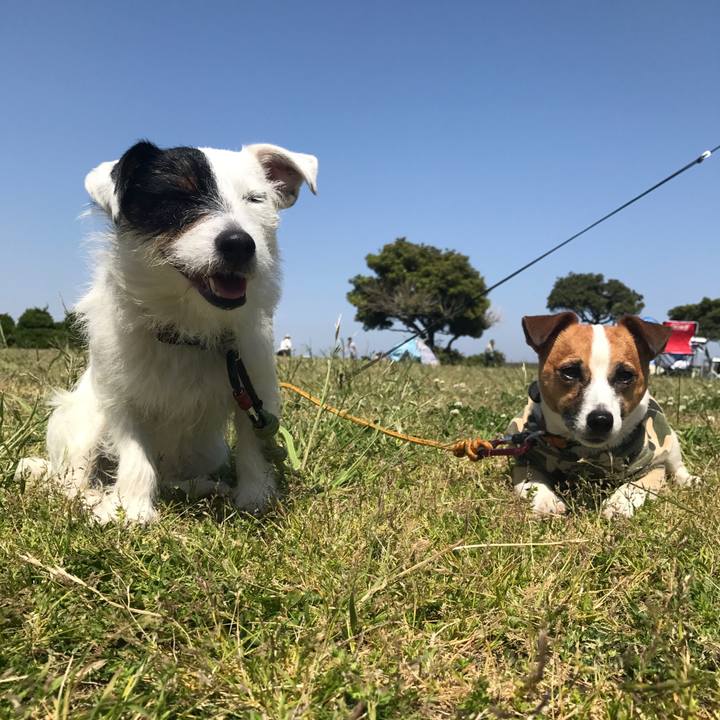 791f13ca 598c 41c0 ac62 95cd55689403