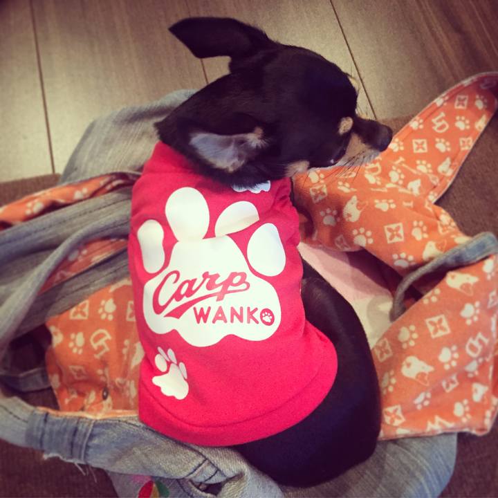 791fa7ad 3b45 42f7 b513 69788c13dea7