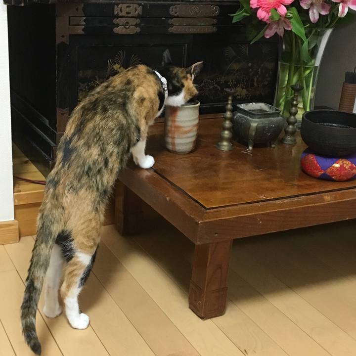 7920bdaf 1ed3 4213 8c39 04fa221649a9