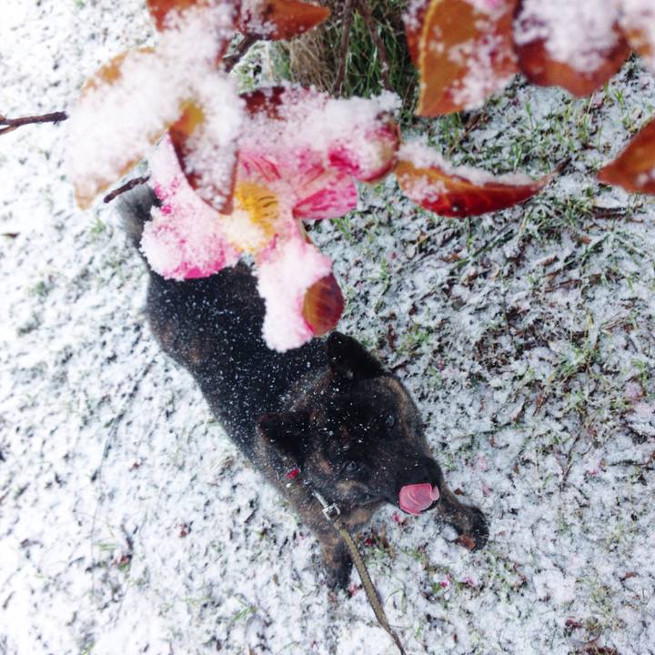 7920e2a8 b937 48da ac0d 2a97cde6f5da