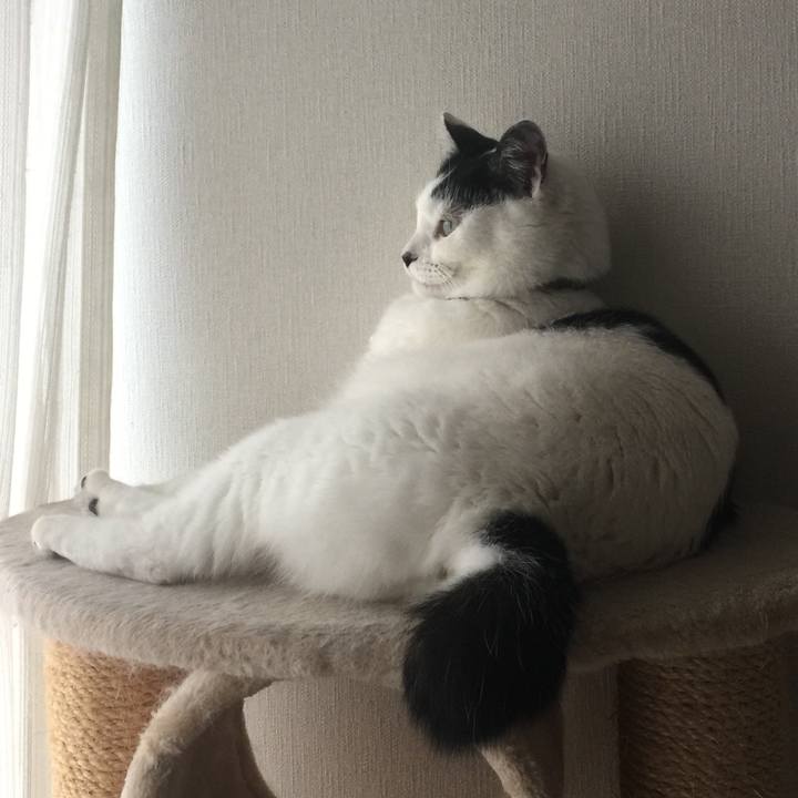 79212d81 86ae 43b3 8b4d 9a4d3272423c