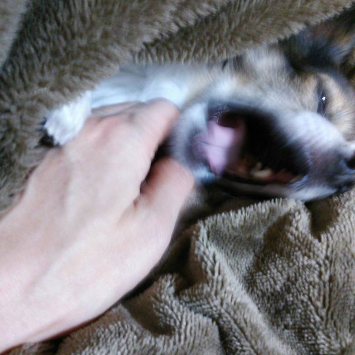 792174b4 f252 4709 8756 4319d233b784