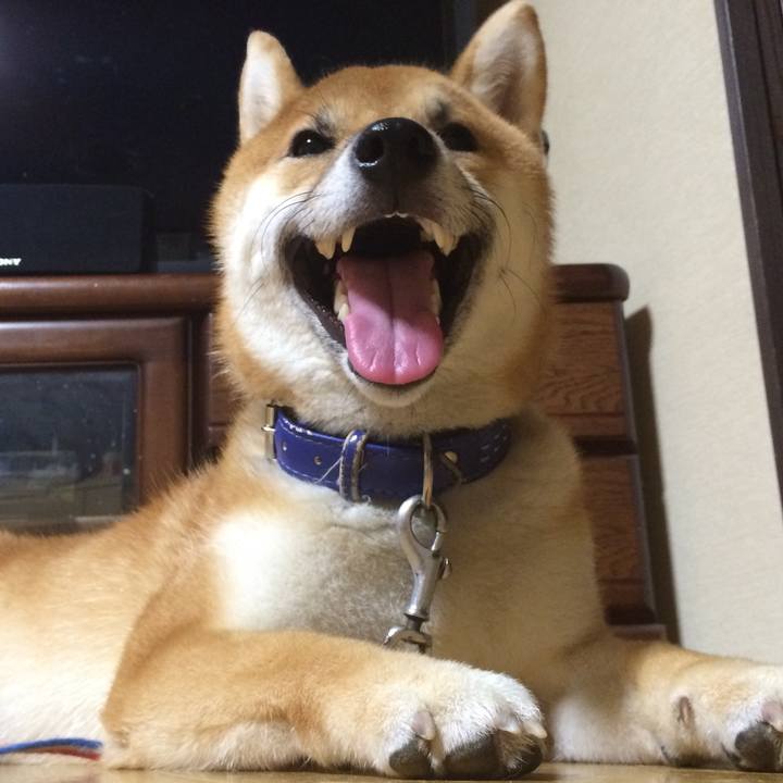 7921c7d3 e50b 47d9 9f09 88e424eff4d6