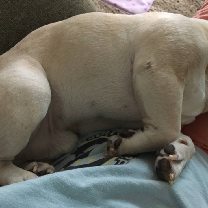 79220488 a53c 4937 9d11 c3a167a02256