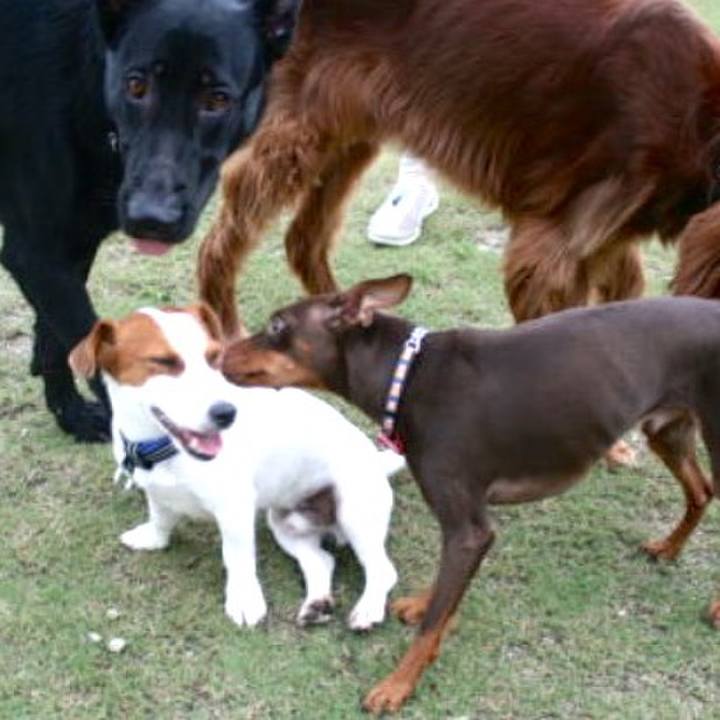 79224627 df31 4756 8182 82acf1ac1fe6