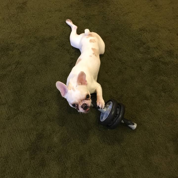 792288e7 b232 4736 8cf9 e771d06ceadb