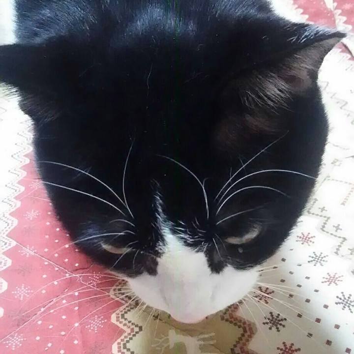 7922eea4 5a7d 4624 bc6c 82298bdb4bd8