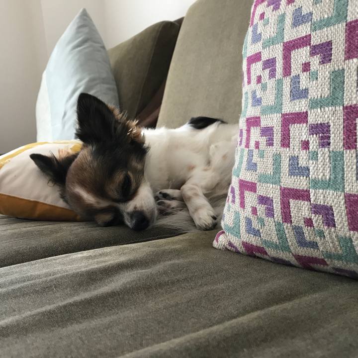 7923414a 8577 482d 951f e2ab598959d4