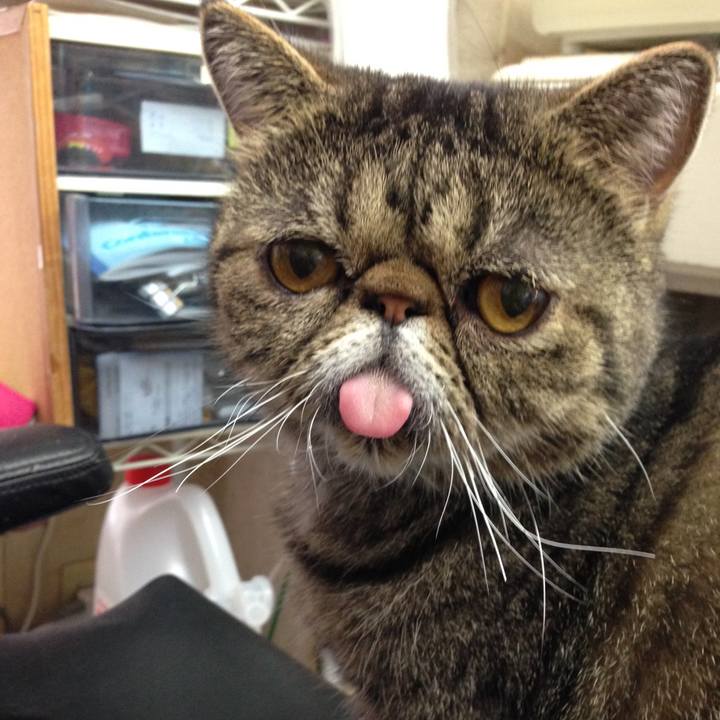 792342c5 d06b 4670 8daa 1fff2257ddd4