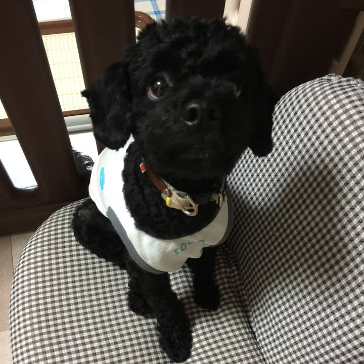 79237657 7870 443b 9bc2 bb37c8712f3f