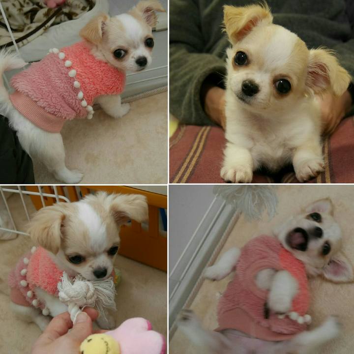 7923a33f c2a8 4608 ba9f 47ed6e38433e