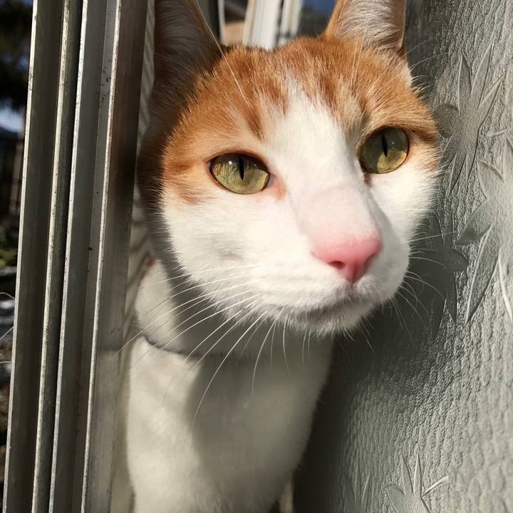 7923c365 4313 40db b511 463571507bf5