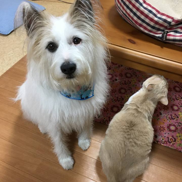 7923d9da 205e 4bbc 8157 c2685650b9bc