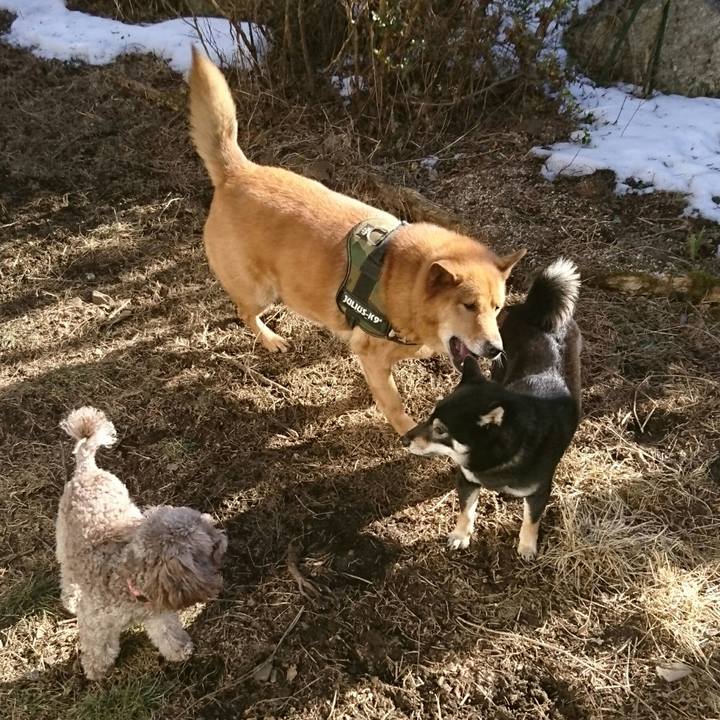 79241e6d 6f6f 462f 9276 01f7cd6b666d