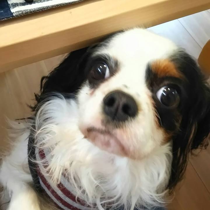 792477cf 588e 44bc 96eb 61f64af588b1