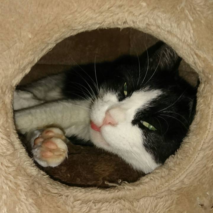 7924cc01 8b91 46a4 8b18 83b7f14178cd