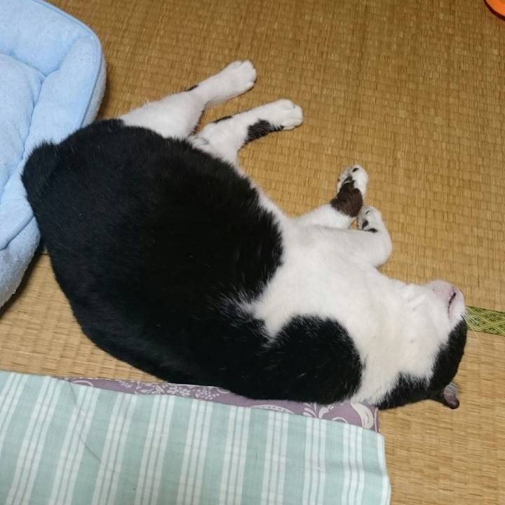 7925e0cf bca9 4859 b3bf ba5dbe348a44