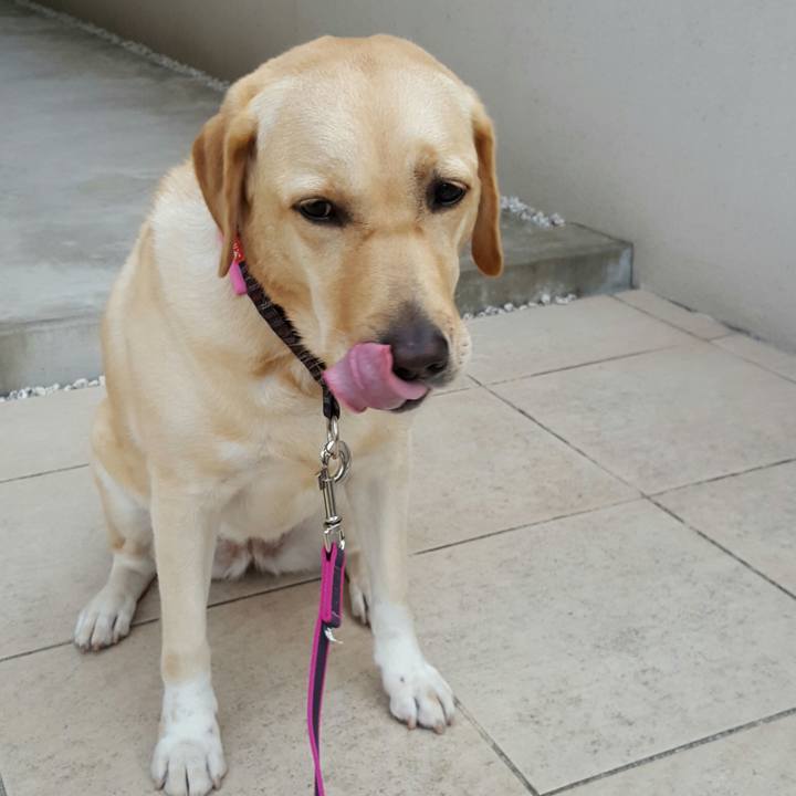 792631fc 4d11 4262 bda9 df9643ba0bb9