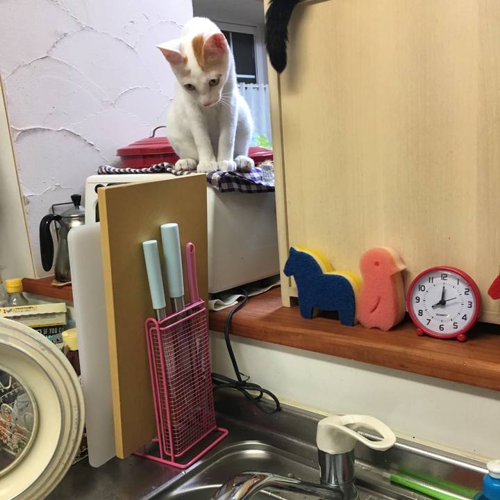 79264df8 e055 4eb3 a3ed ab2c22912c1f