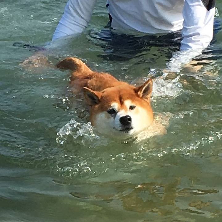 7926899f 45ed 4808 98ed 81a2534bc5a3