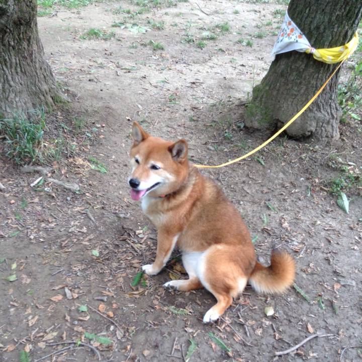 79274dd9 0f82 4fbc a3ed 0edb25229af0