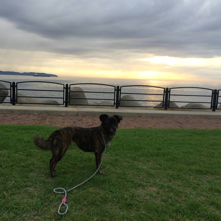 792757ee bd69 4086 abdc cfdb886b4ce6