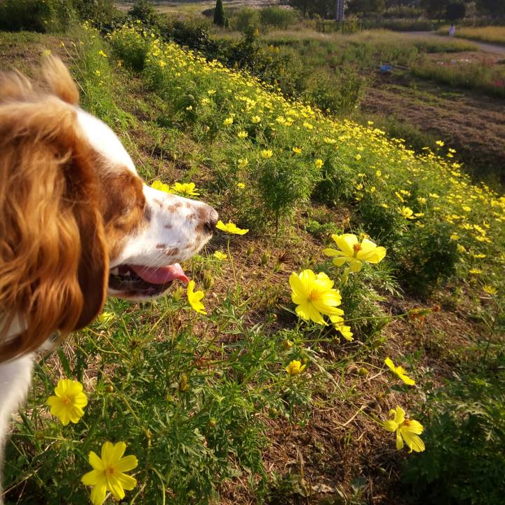 79288de7 fdd7 4158 9d10 cbb07d75953b