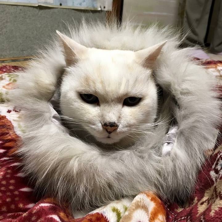 79291eed abfb 48a3 b14a ae31e2f540ef