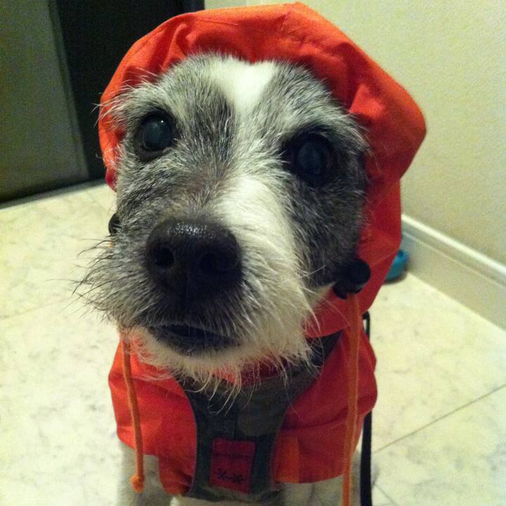 79292459 d41e 4b62 9de4 cadc997ebd95