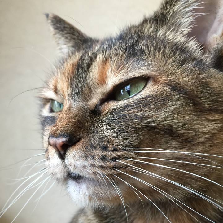 79298afd 5d85 4751 aa20 dc44245f1ff0