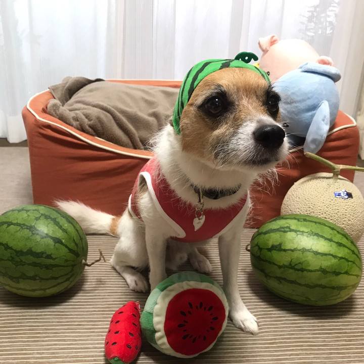 7929a935 27c6 46df aed5 acd90d5b392a